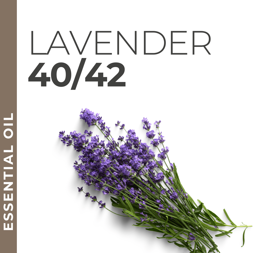 Outlet Lavender 40/42 Fragrance Oil - lot of 49