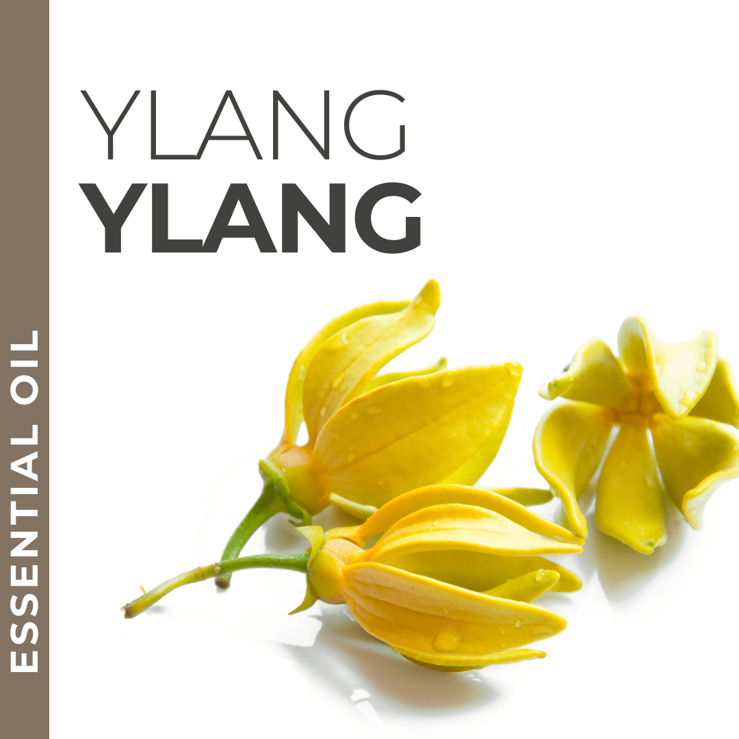 Ylang Ylang - Wholesale Essential Oil